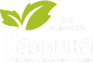 branded logo