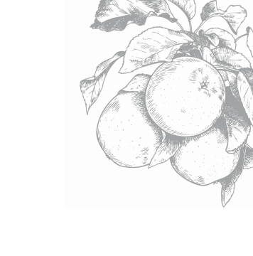 branded picture