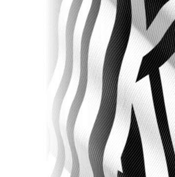 branded picture