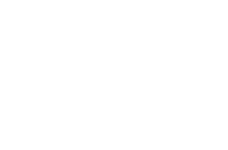 branded logo