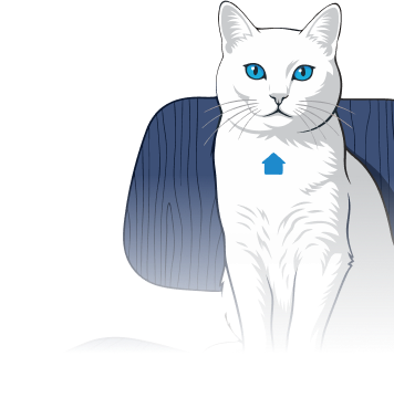 branded picture