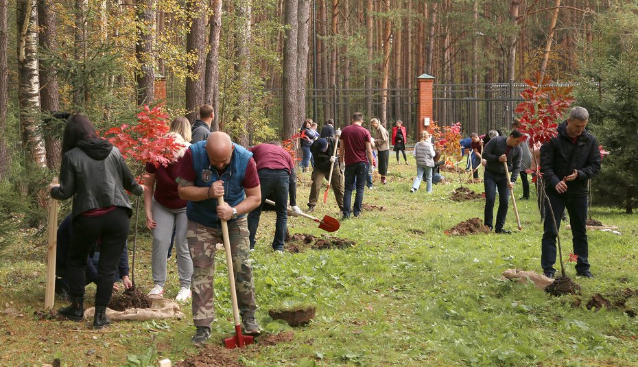 Вакансии олимп паркета в румянцево