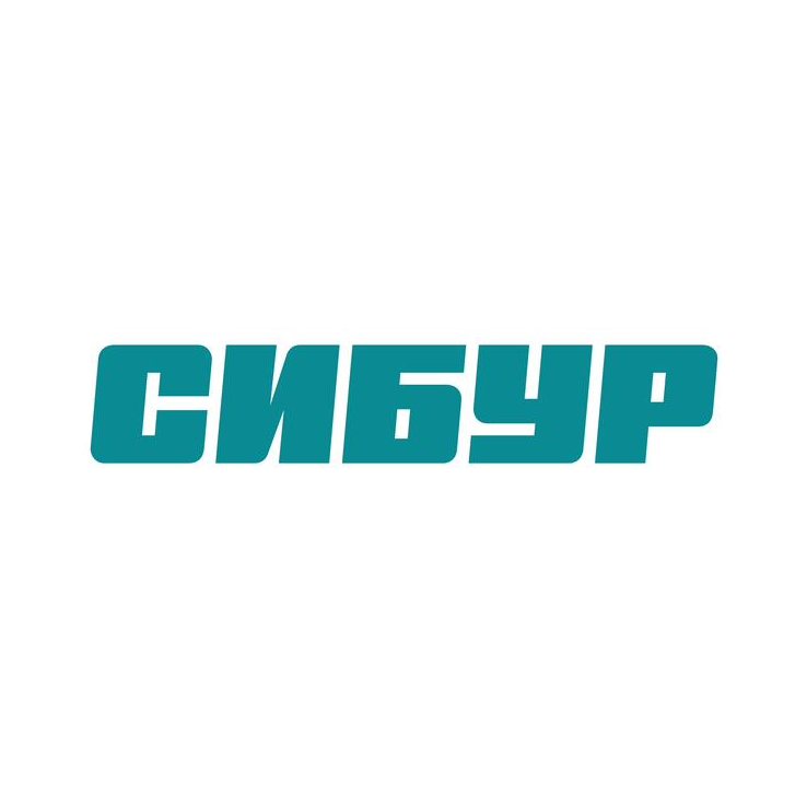 СИБУР, Группа компаний