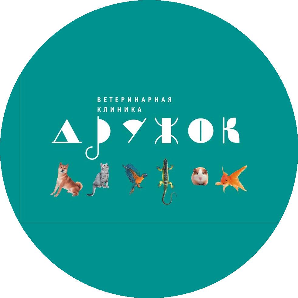 Ветеринарная клиника Дружок