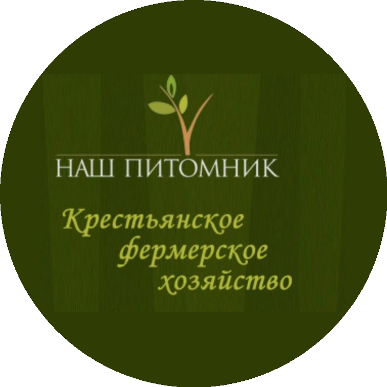 ��� ��� ��������