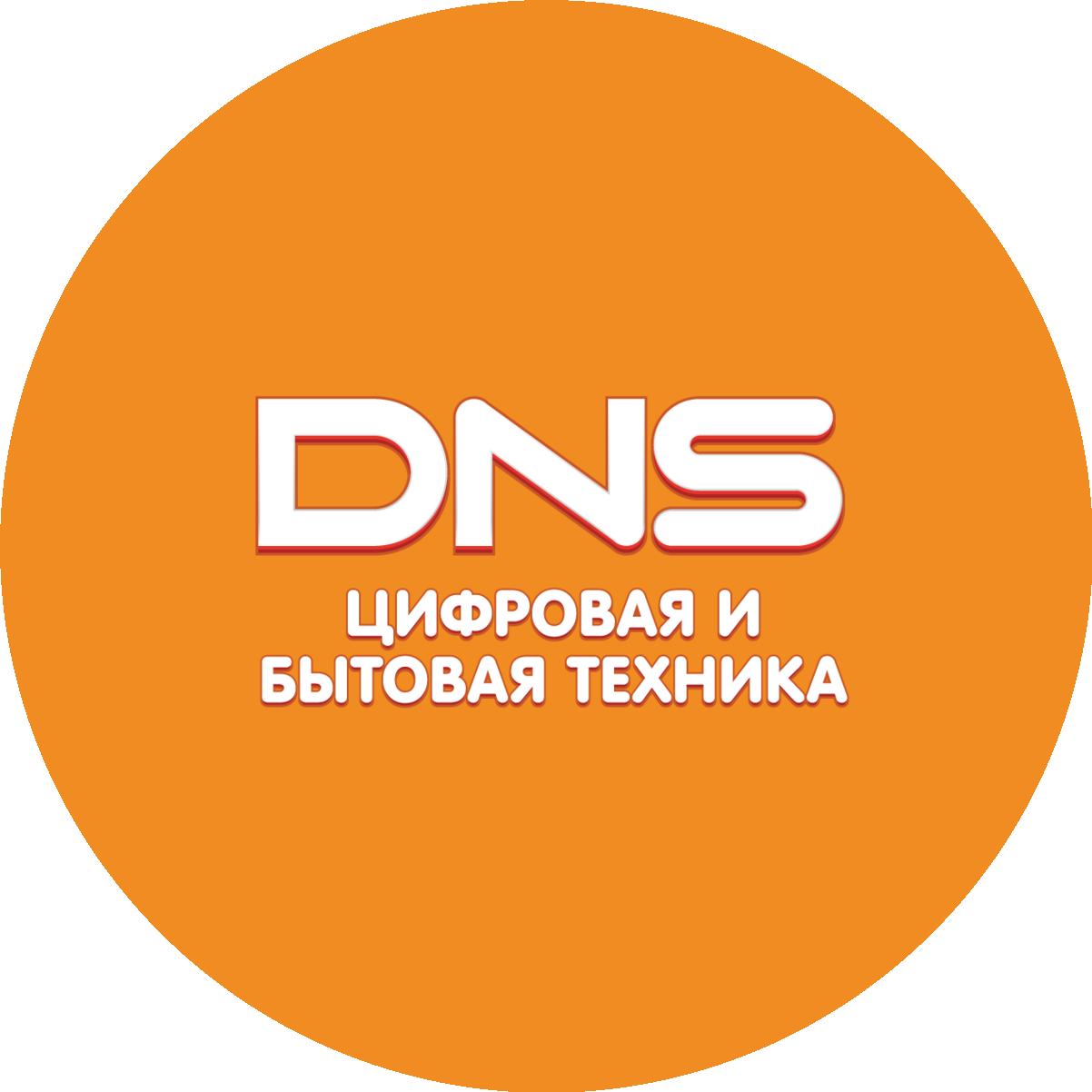 Сеть магазинов цифровой и бытовой техники DNS