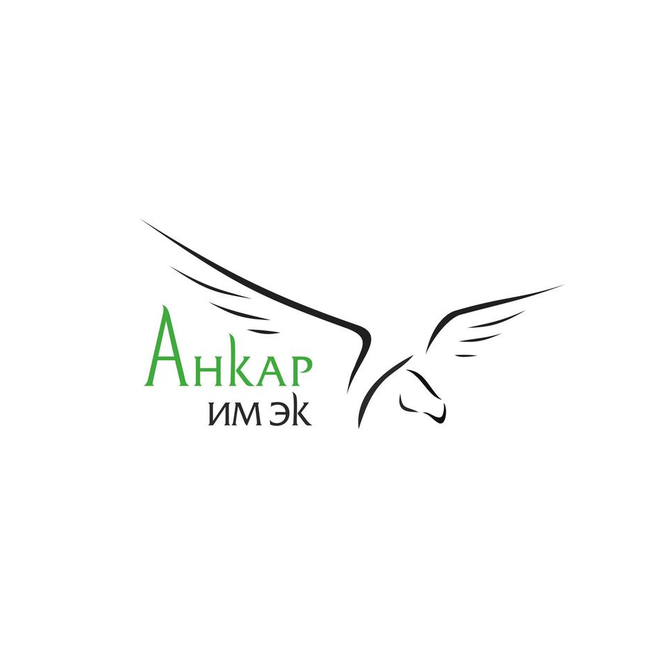 Ankar-IMEX