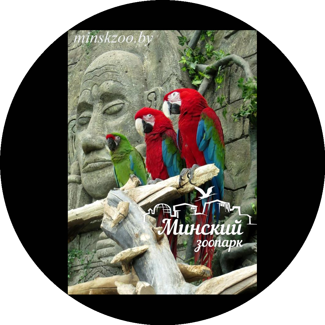 ������� �������