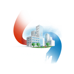 Компания Иванычи
