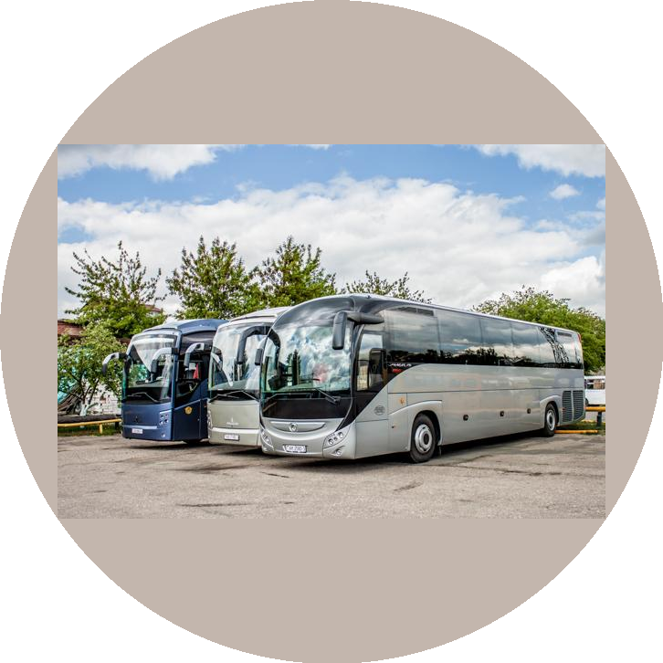 ������ ���������� ���� �1 ��� ������������������