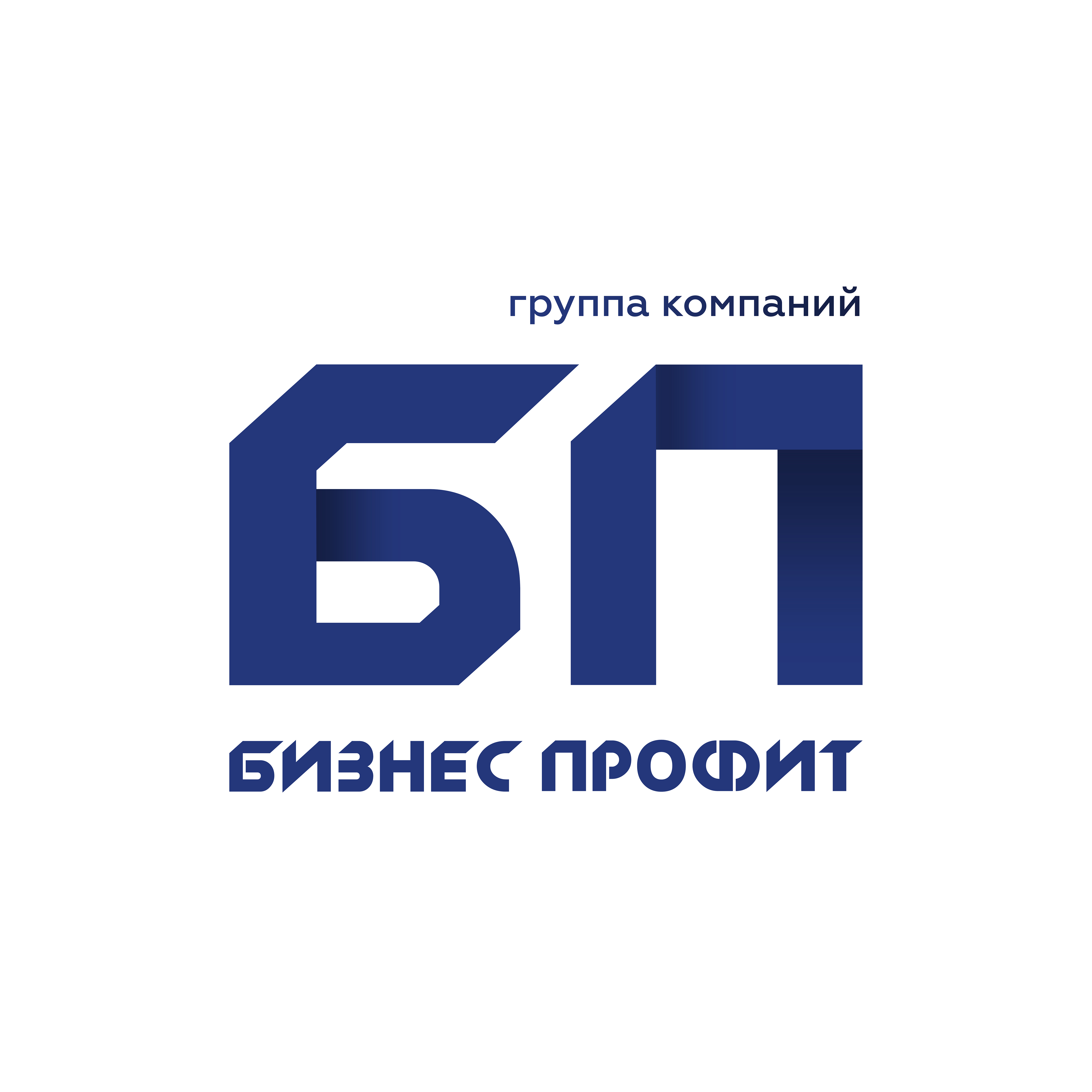 БИЗНЕС ПРОФИТ ВЛ