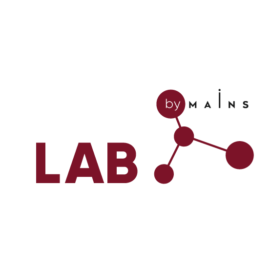 Мэйнс Лаборатория