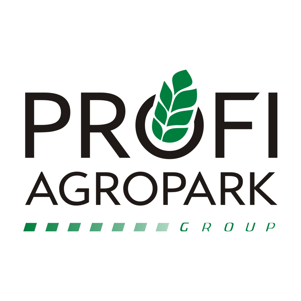 �����-�������� �����