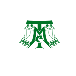 КОМПАНИЯ МСТ