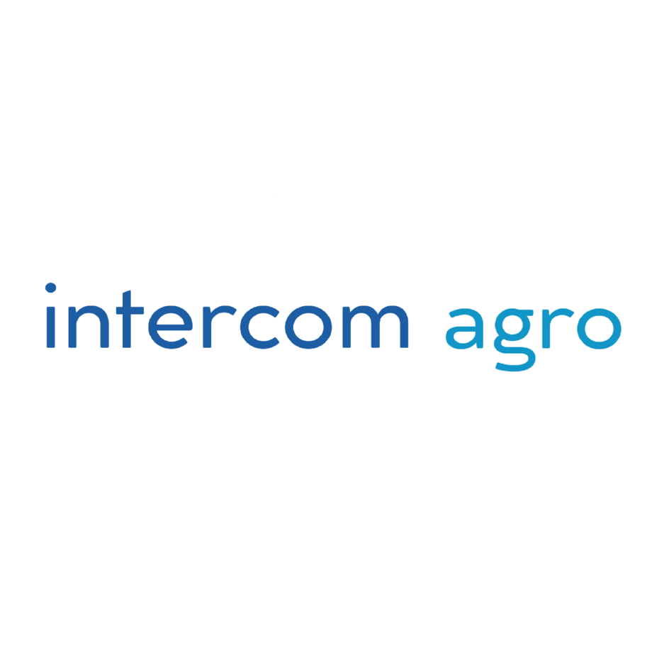 �������� ����