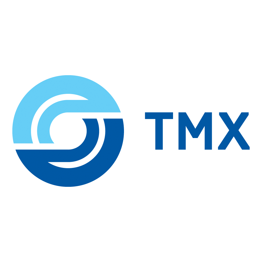 ТрансМашХолдинг, Группа компаний