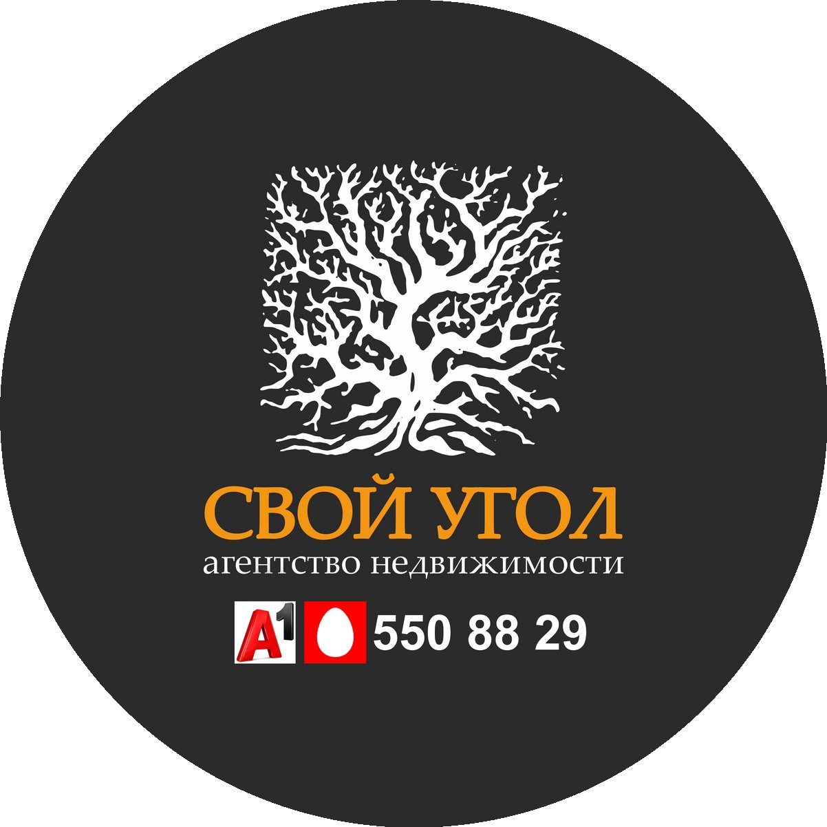 ���� ����