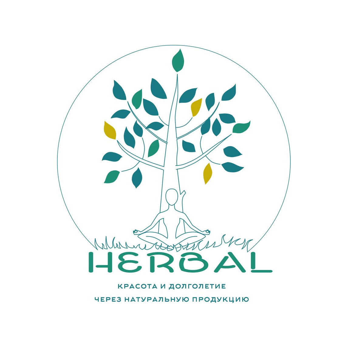 ���� ����