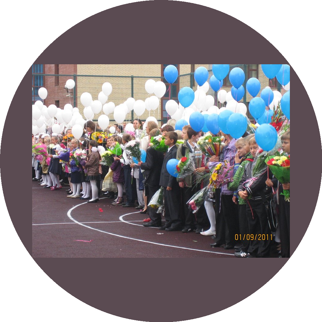 Государственное бюджетное общеобразовательное учреждение средняя общеобразовательная школа № 246 Приморского района Санкт-Петербурга