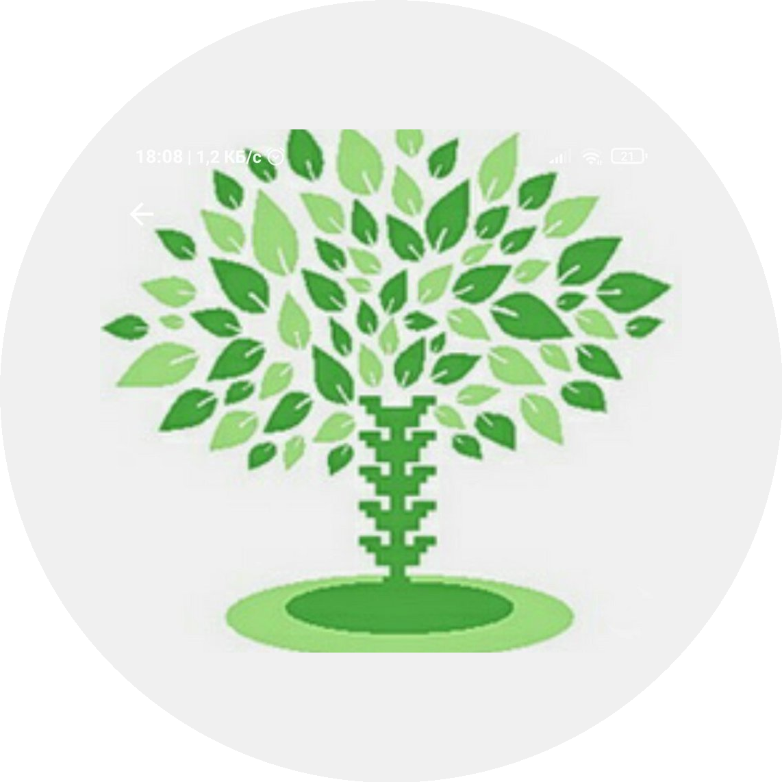 ���� ���-����