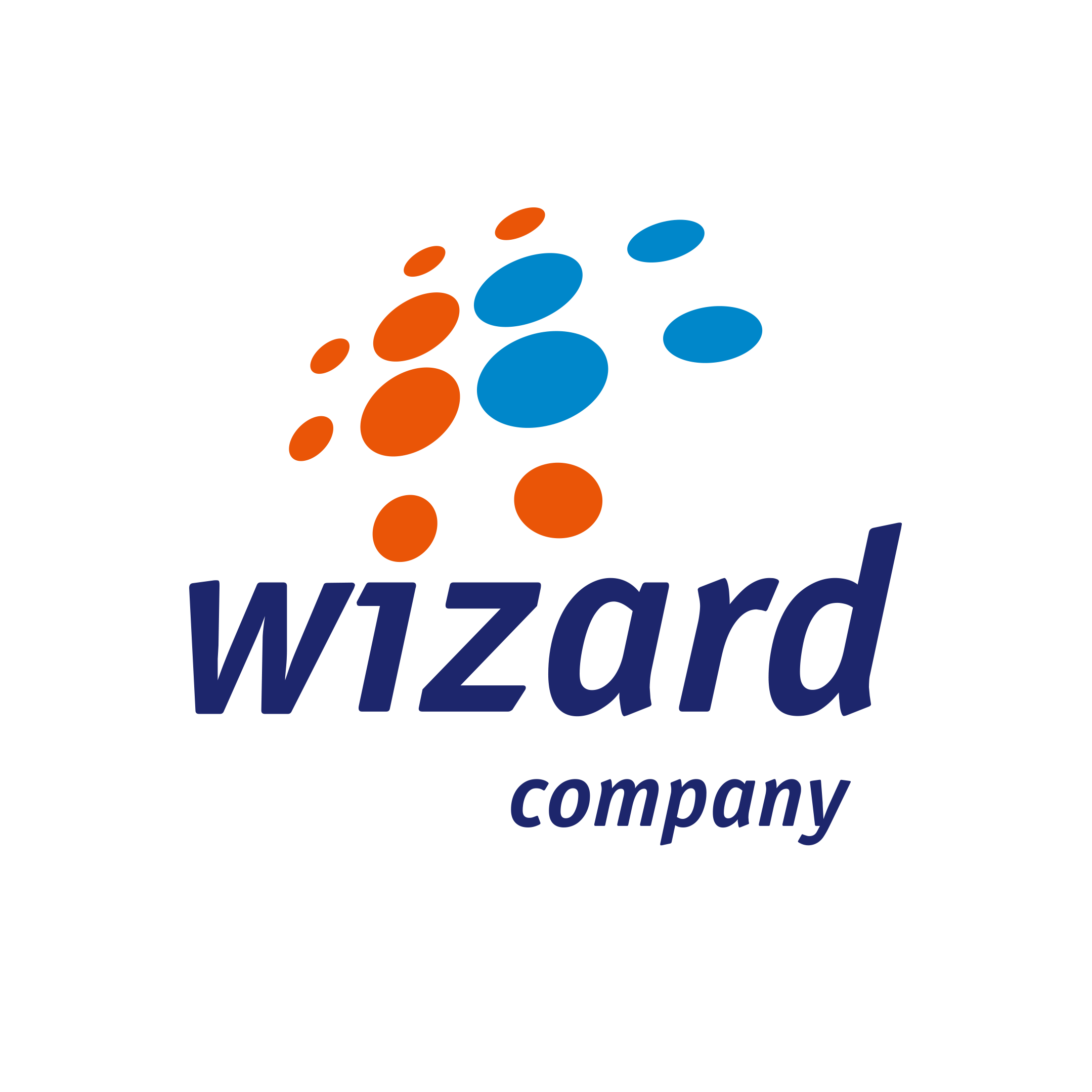 Компания ВИЗАРД