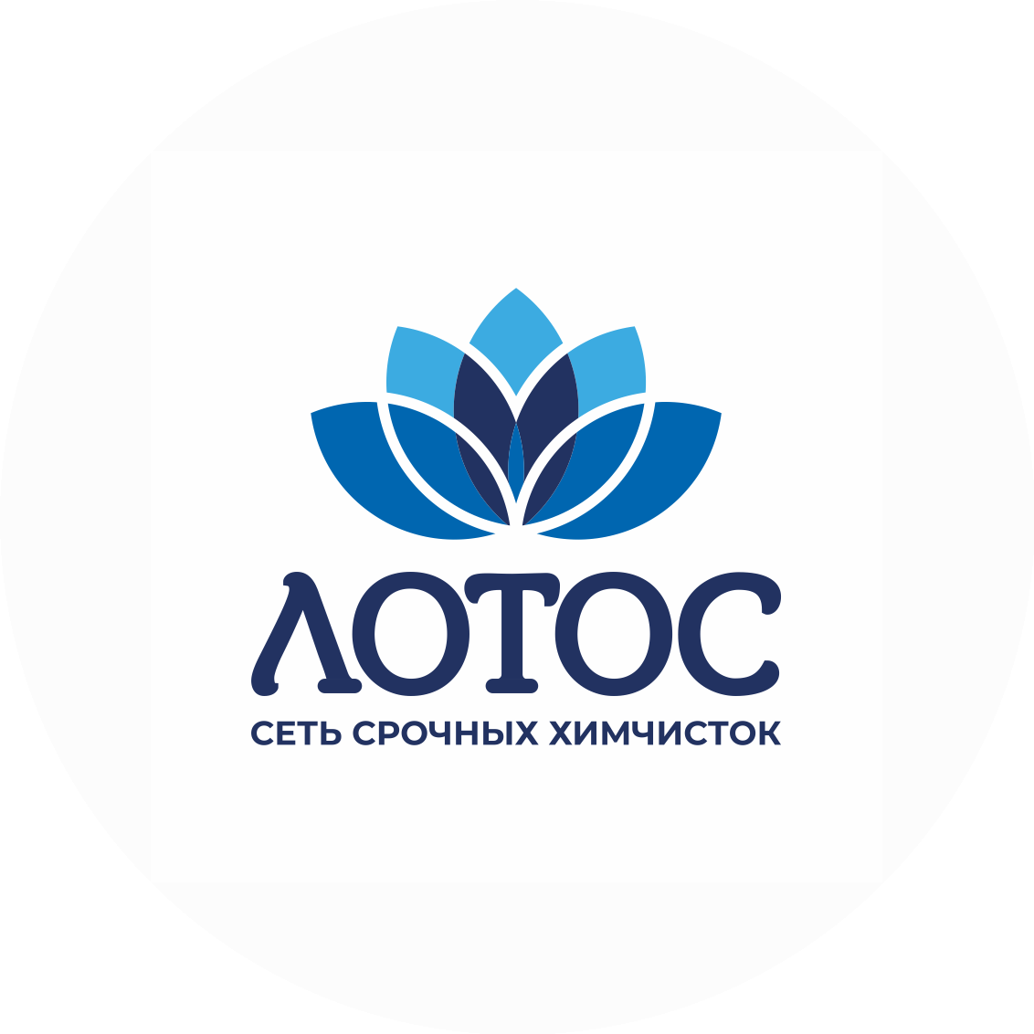 Химчистка Лотос