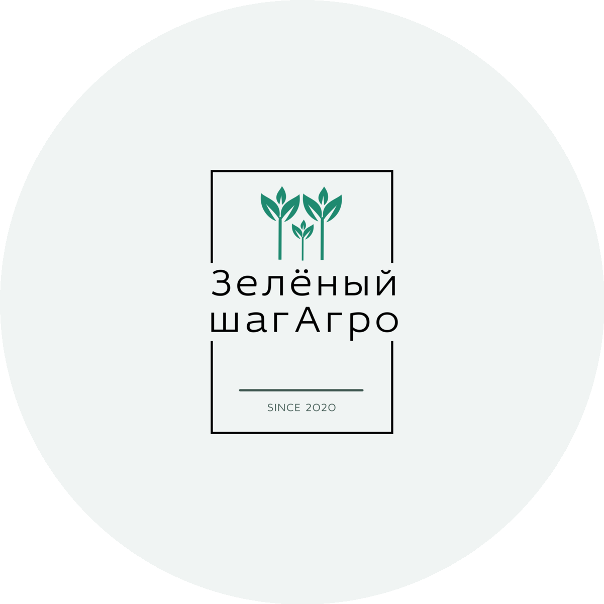 ������ ��� ����