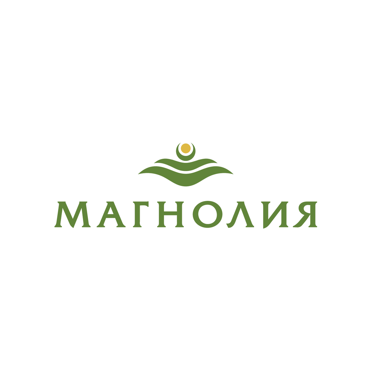 Магнолия, Сеть магазинов