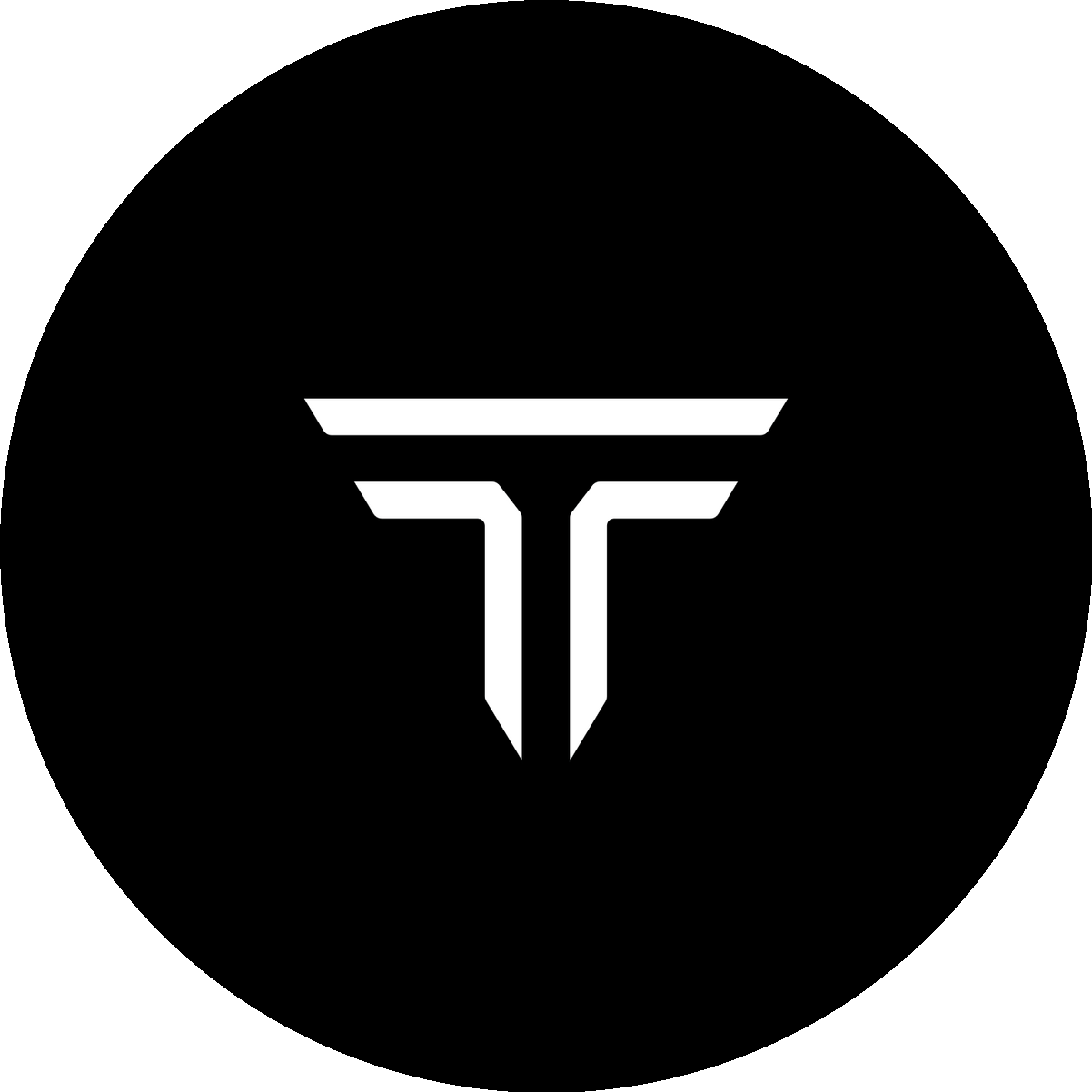 Технократия