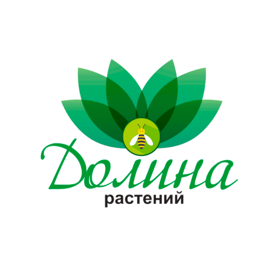 ������ ��������