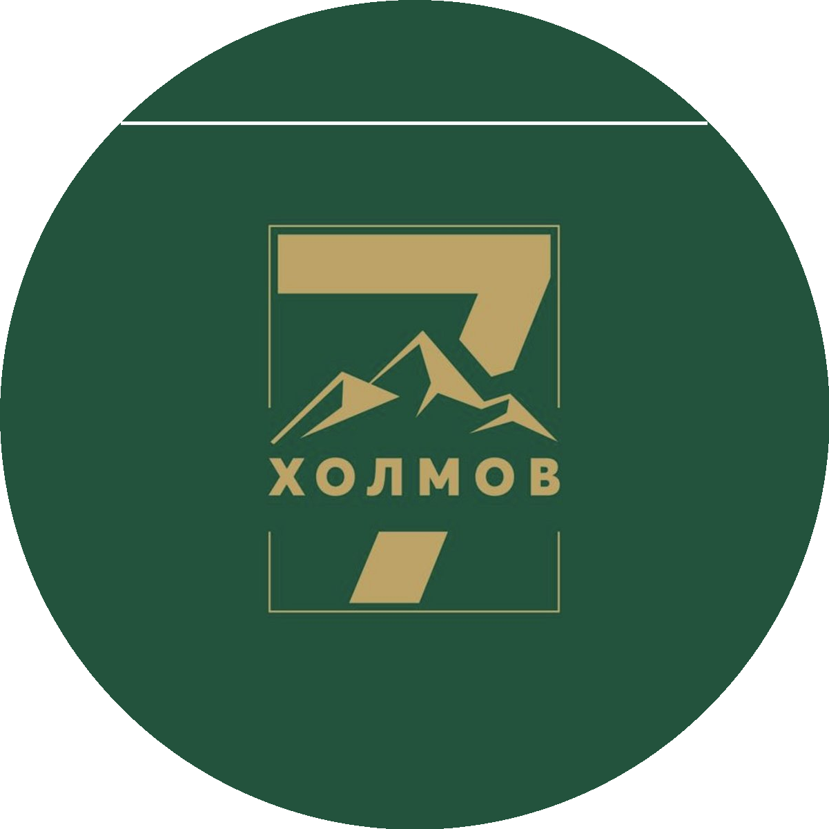 Логотип