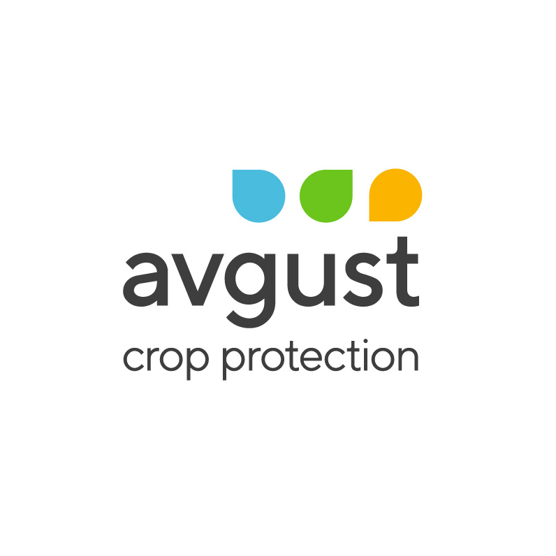 Август, Фирма