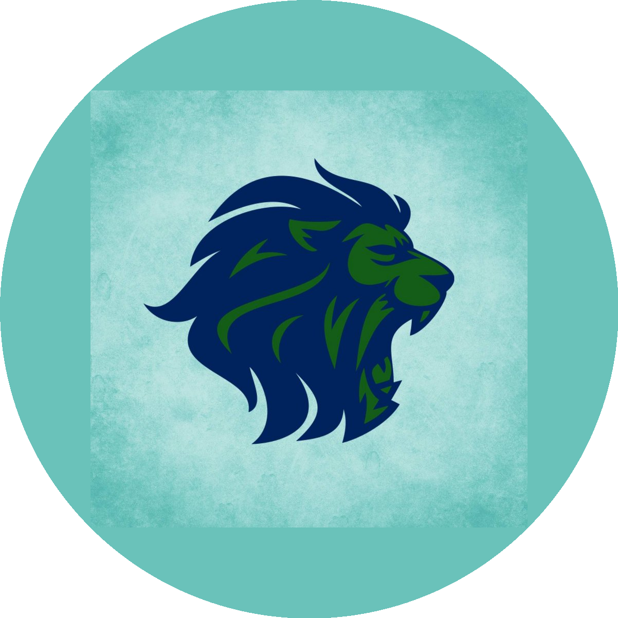 ���� ���