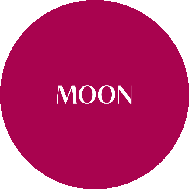 MOON (Группа Компаний)