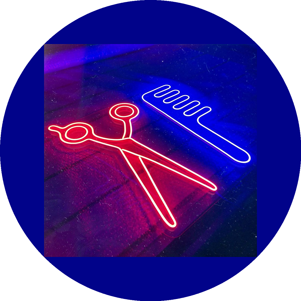 ����������