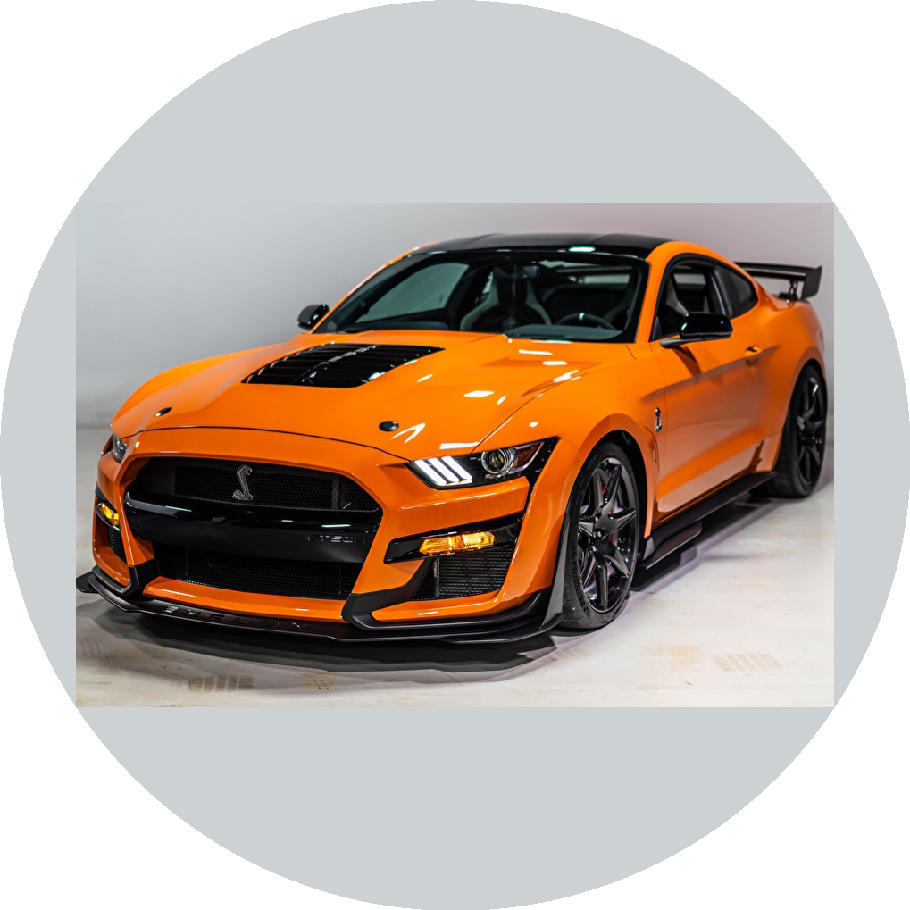 ������ ����� ����������