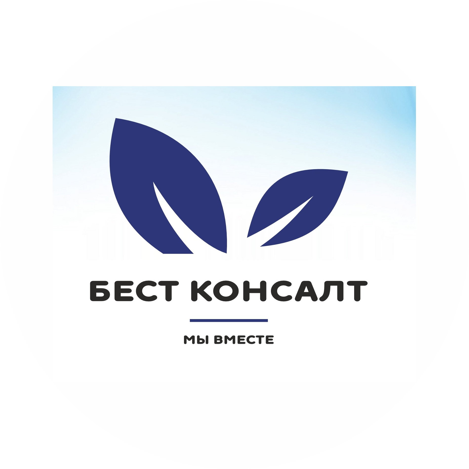 Бест Консалт