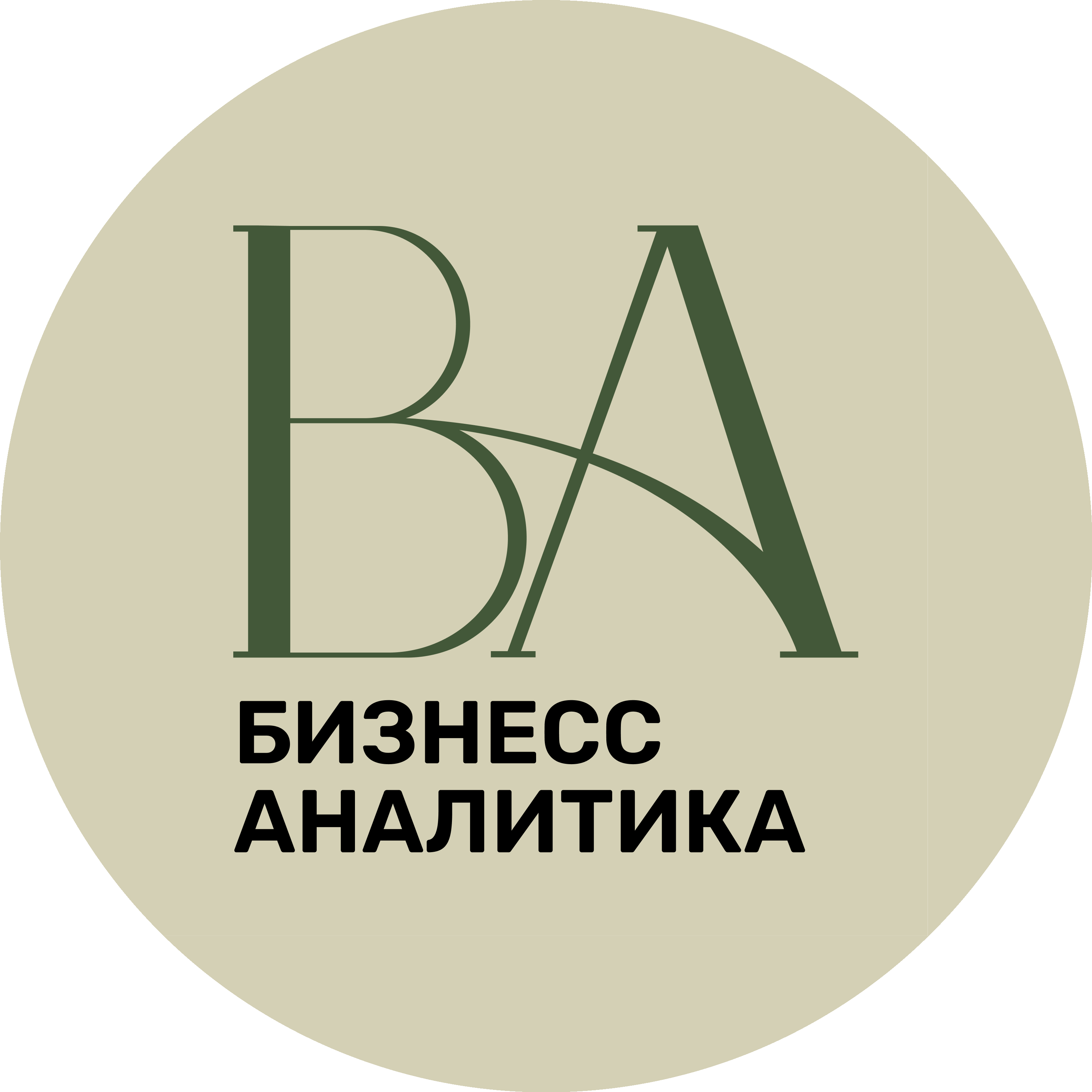 Бизнес-Аналитика