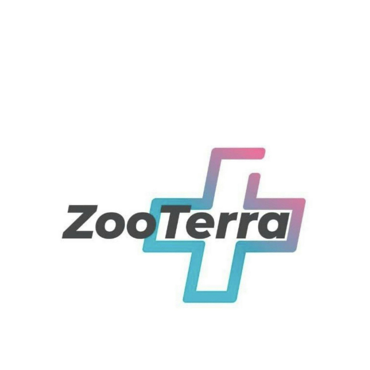 �������� ����