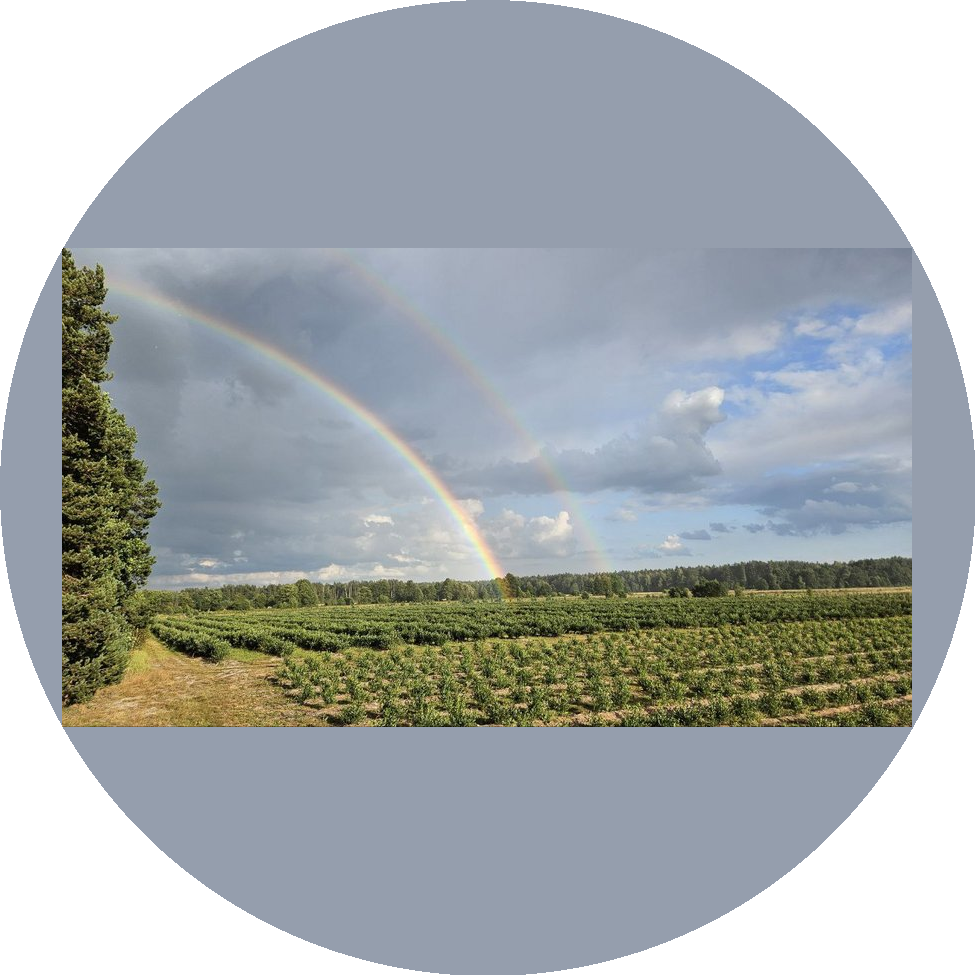 �� ��� �� �����