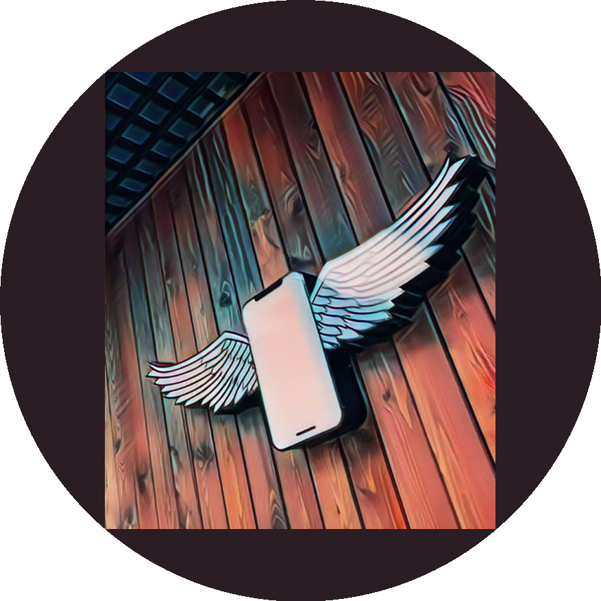 �������� ���� ����������