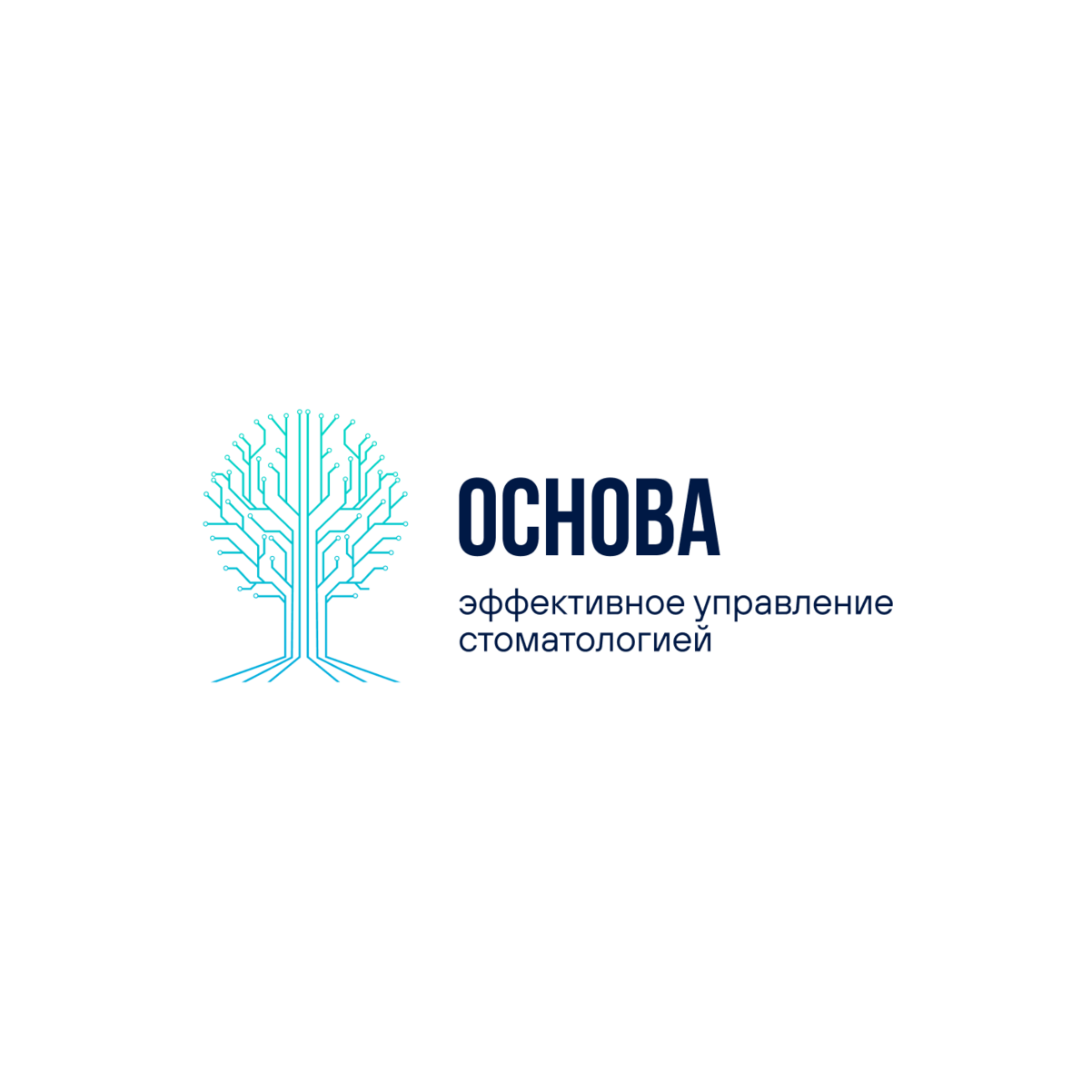 Консалтинговая компания Основа