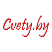 ����� � �������