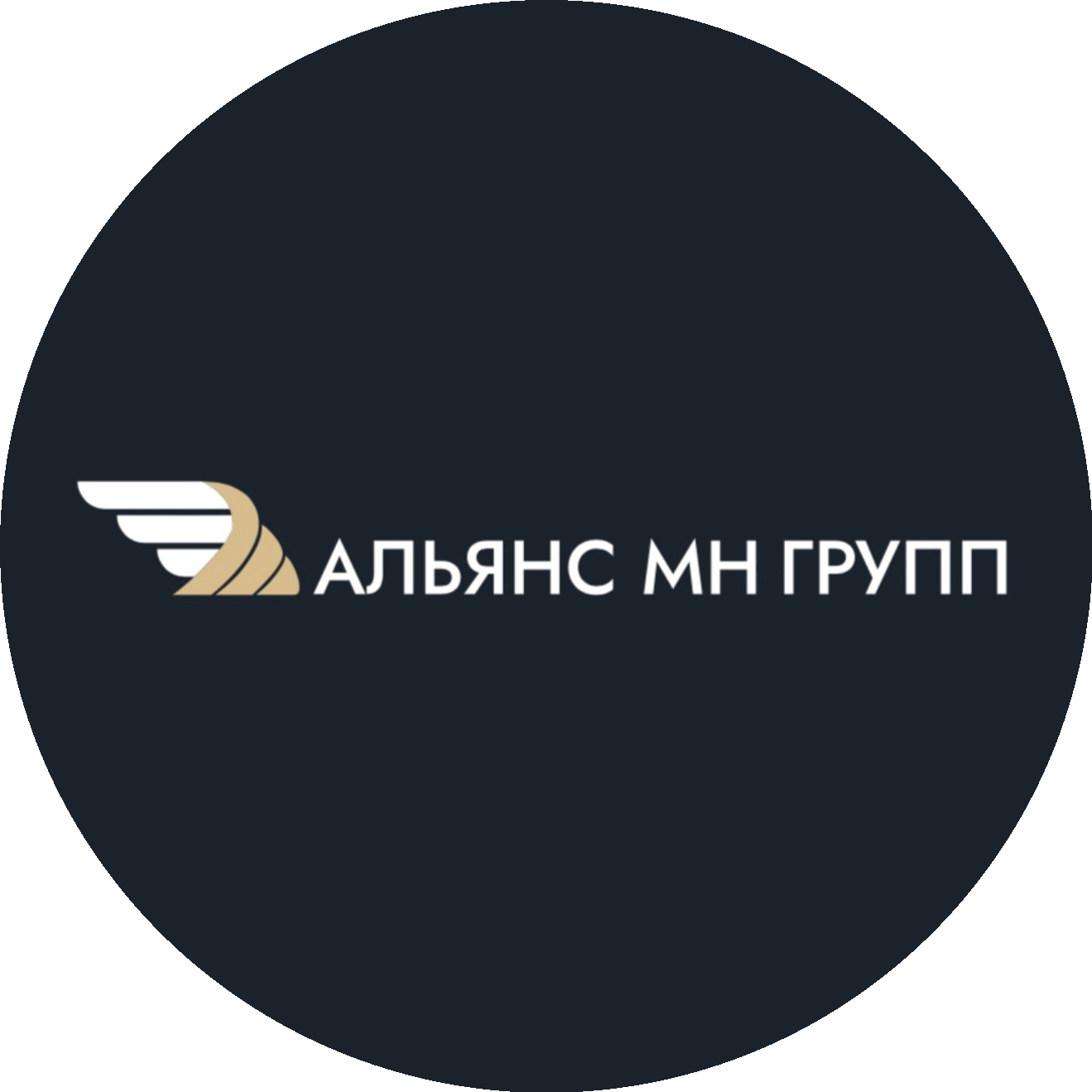 Альянс МН Групп