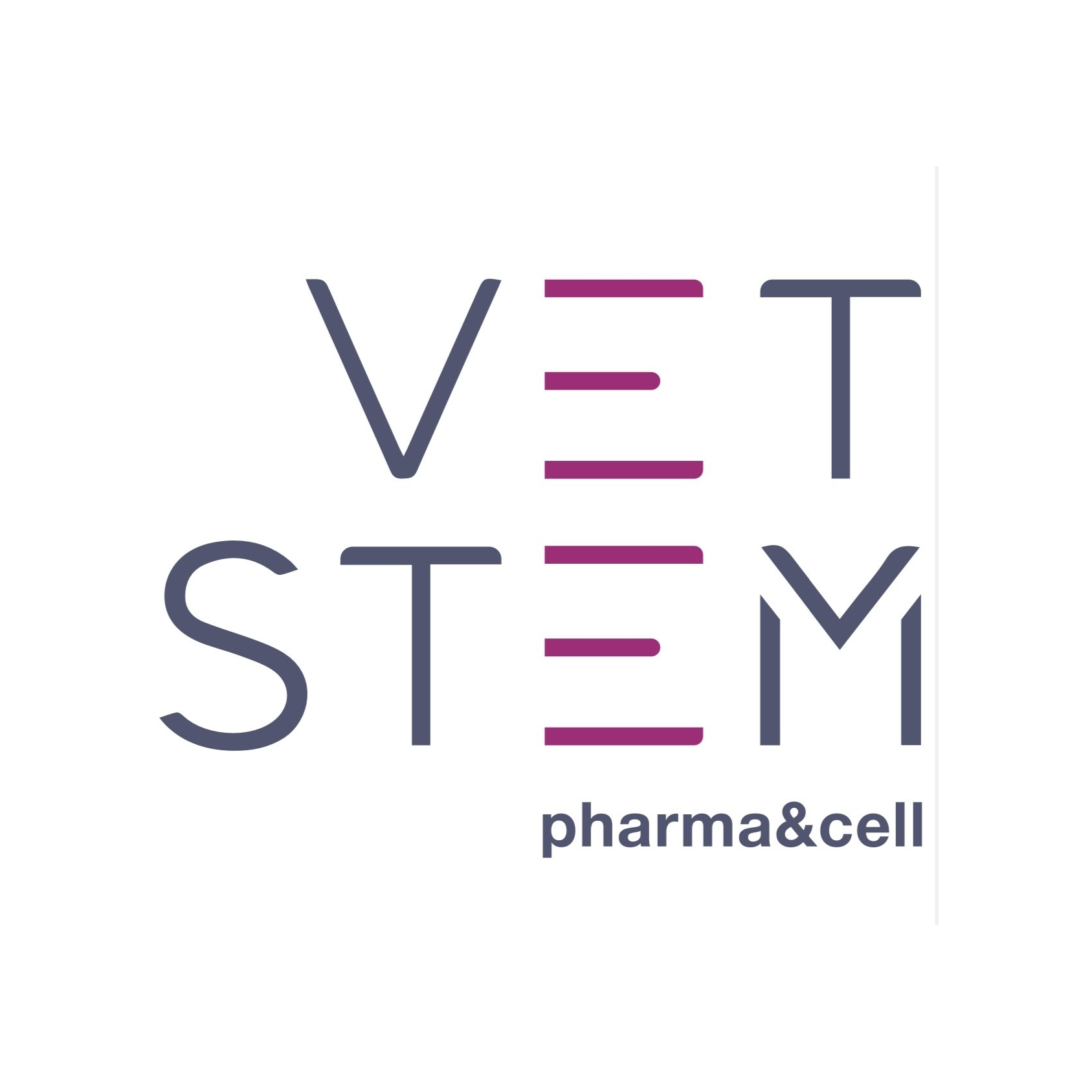 VETSTEM