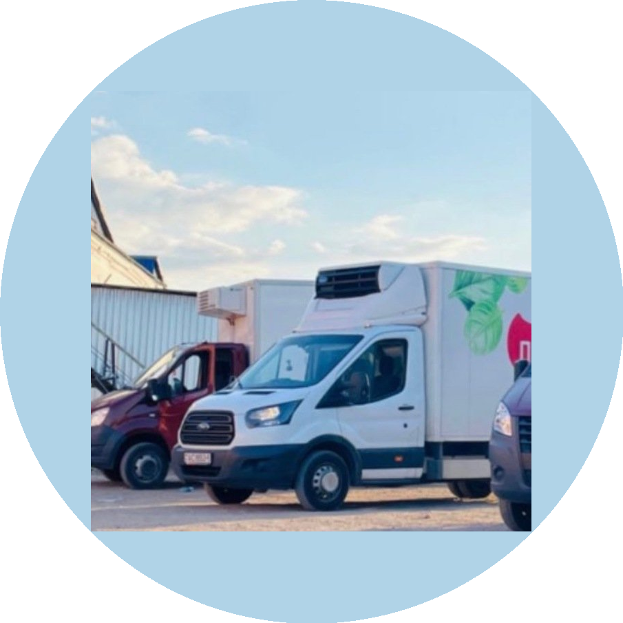 �������������