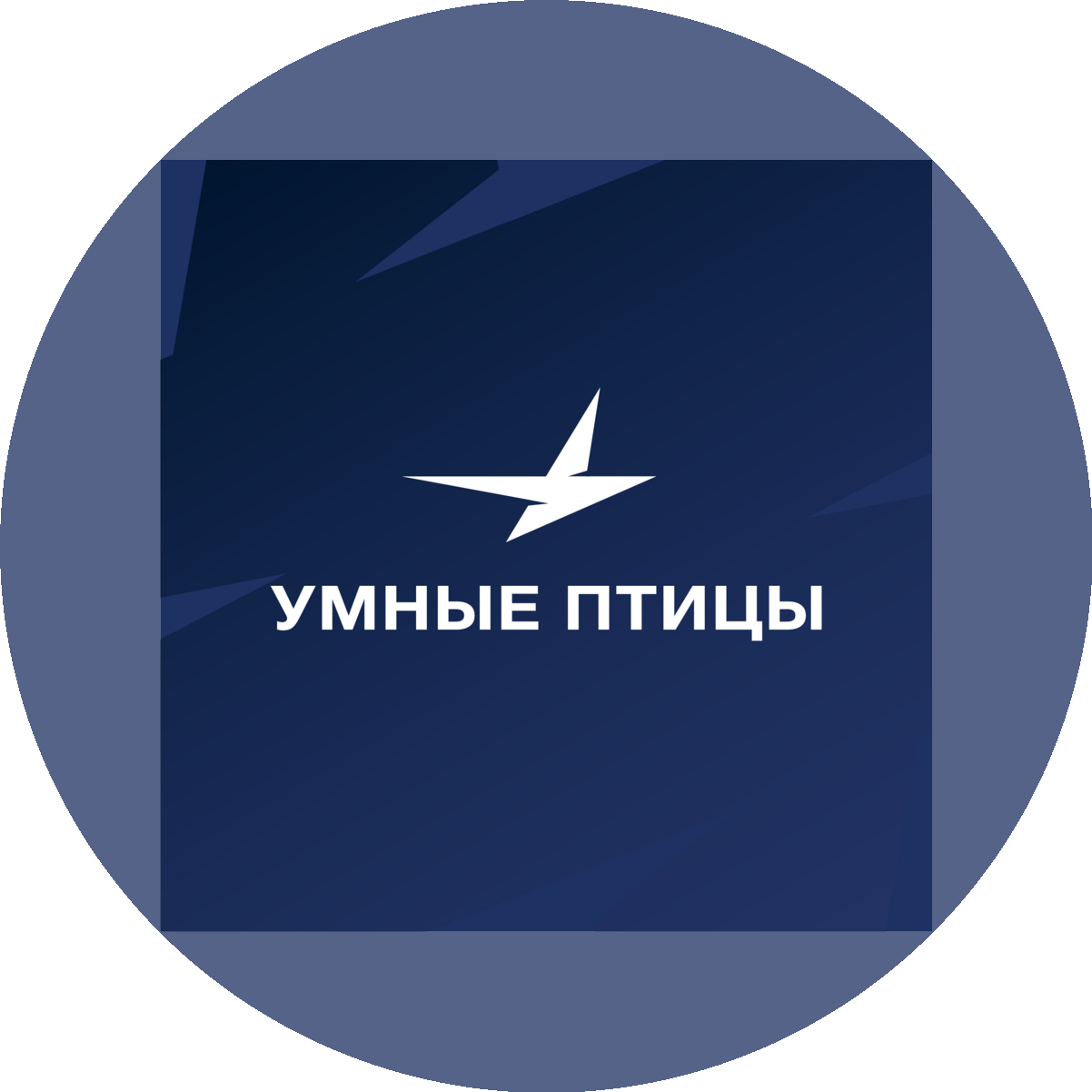 Умные Птицы