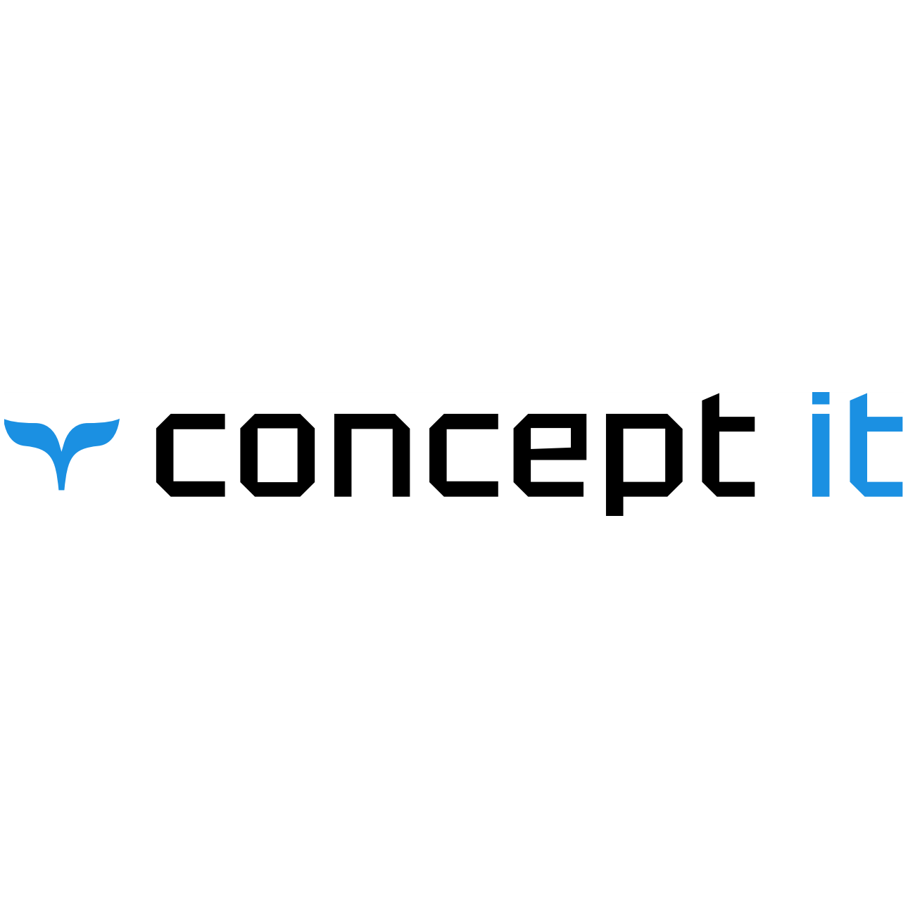 КОНЦЕПТ АЙТИ