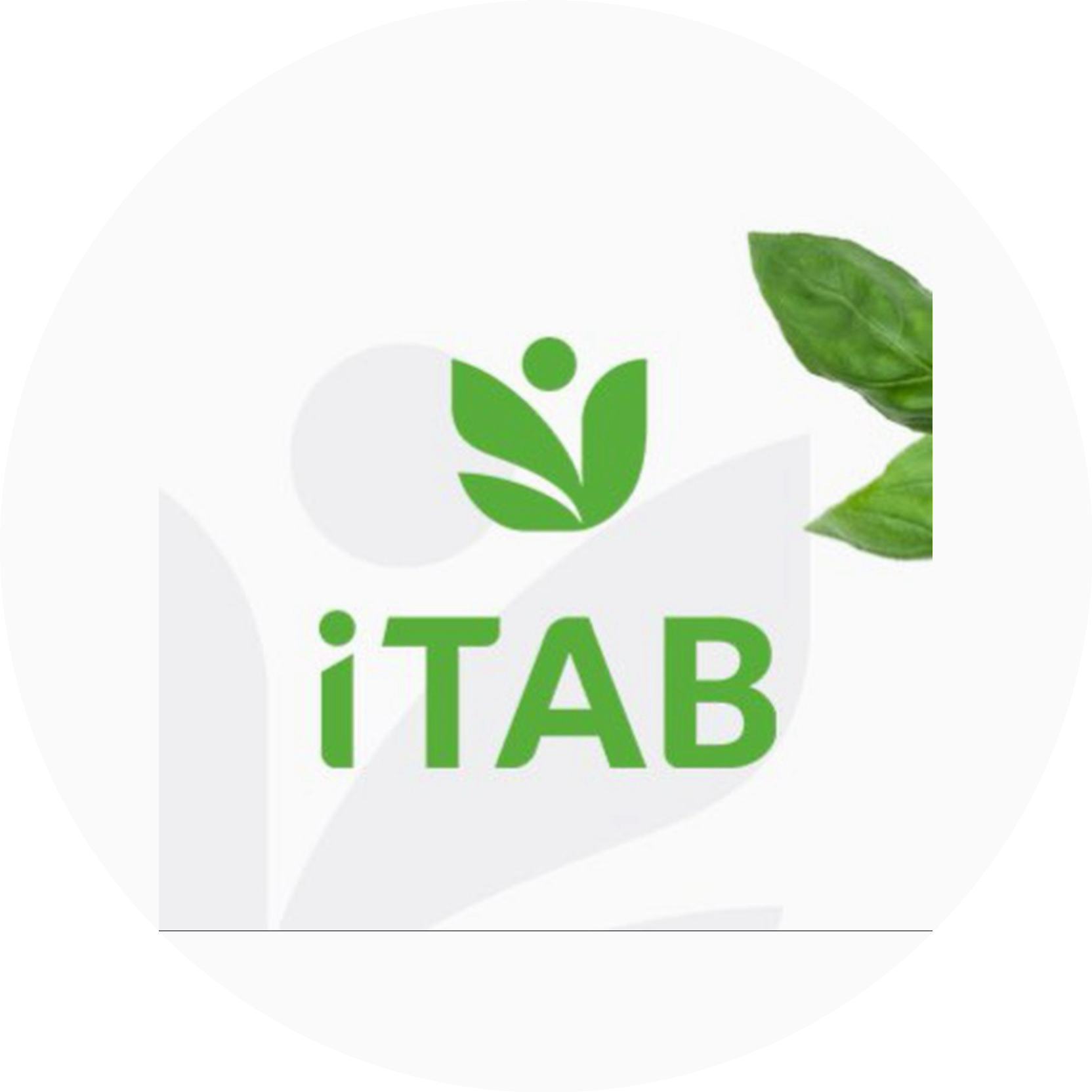 iTAB