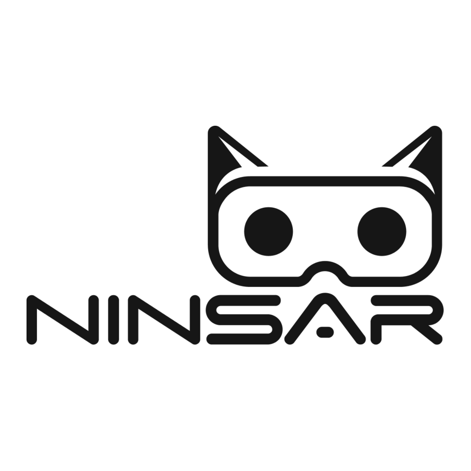 Ninsar